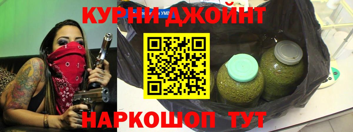 Каннабис OG Kush Шатура